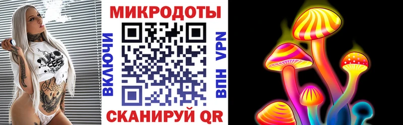 Псилоцибиновые грибы Psilocybe  Купить  Апрелевка 